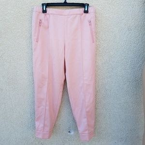 J.Crew Pink Zip Up Ankle Trouser Pull Up Pants